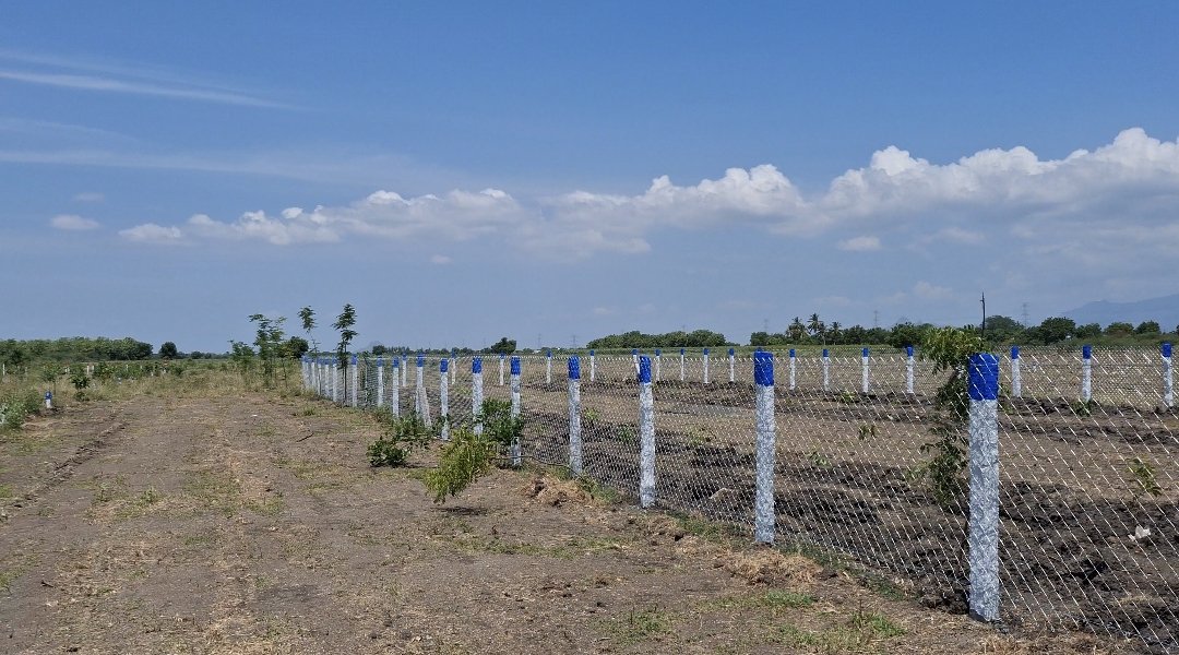 Farm Land - Thummakundu, Madurai
